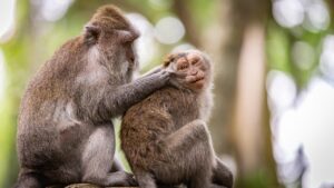副業のリスクを減らす方法は何ですか？