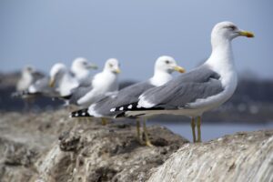 副業を始める前に知っておくべきLINEの勧誘ブロックすべき理由とは？