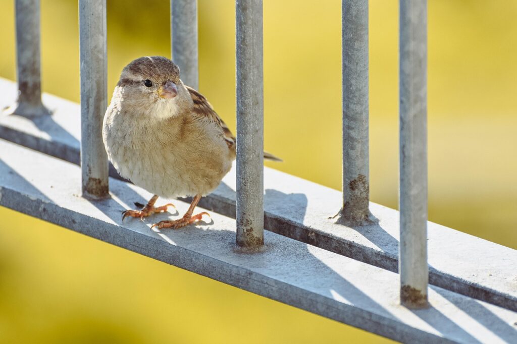 稼げる副業の本物を見分ける方法は？